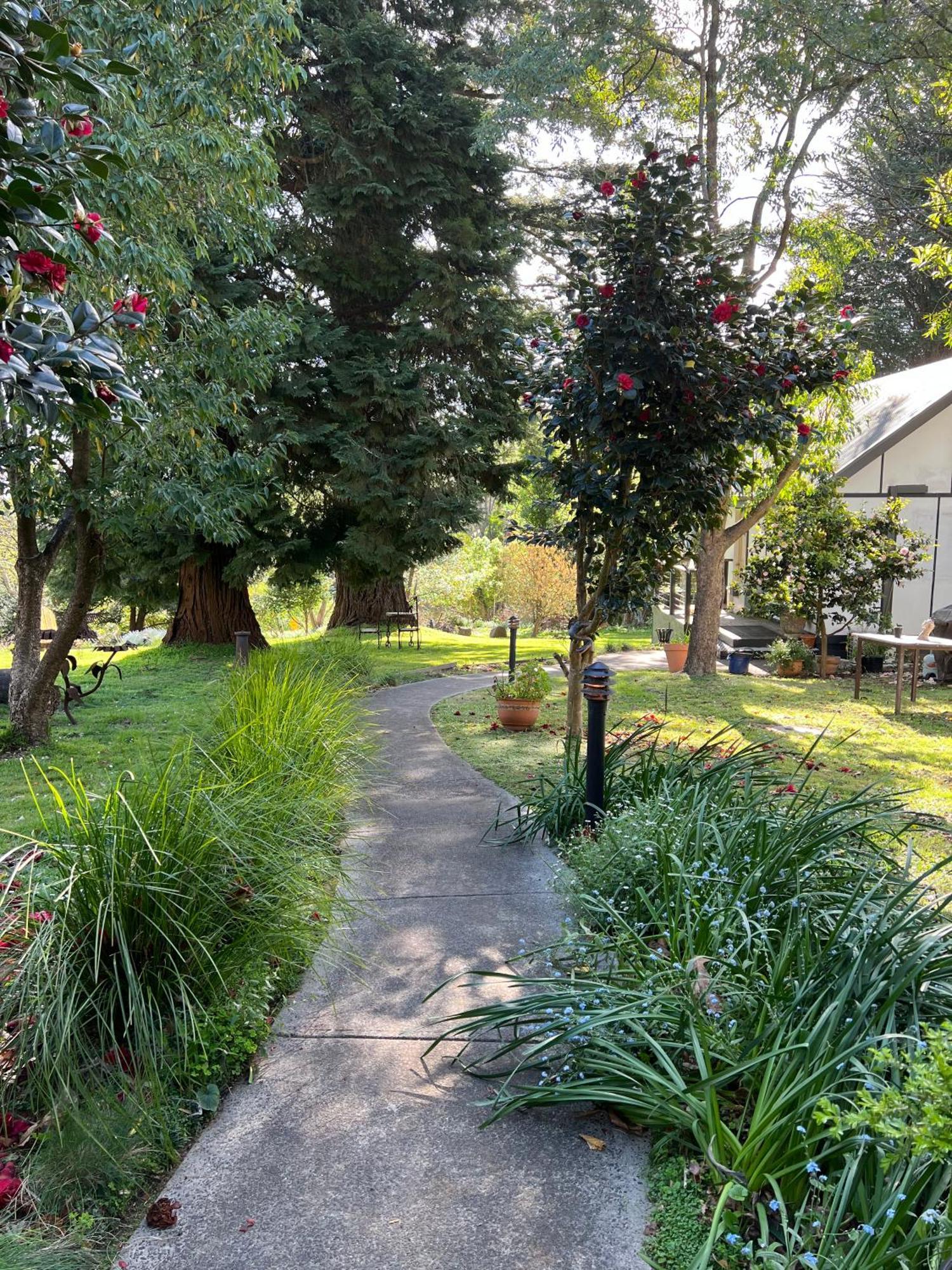 Olinda Country Cottages Exterior foto